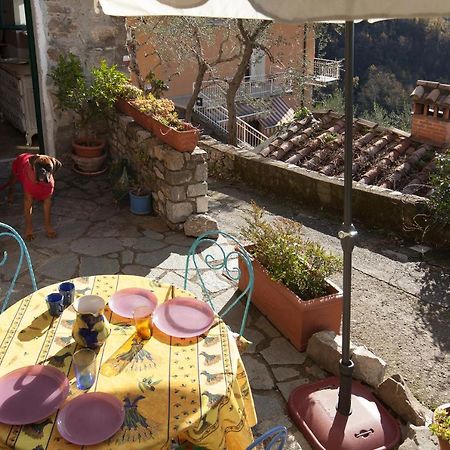 Chezcatherine Villa Sarzana Kültér fotó