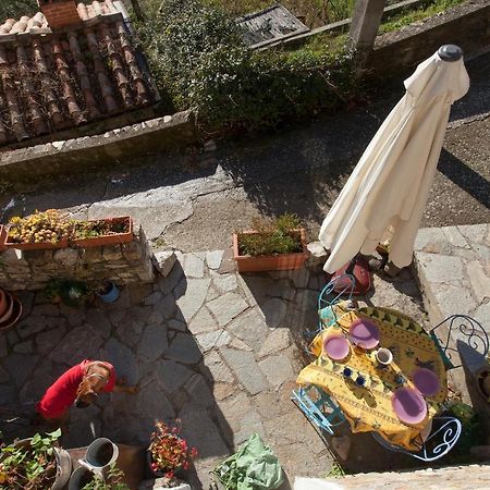 Chezcatherine Villa Sarzana Kültér fotó